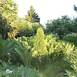 Holiday home Karu Laiuse