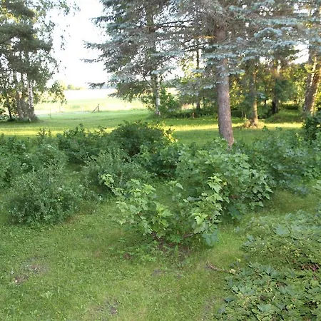 Karu Laiusevälja