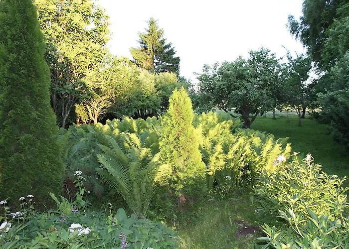 Holiday home Karu Laiuse