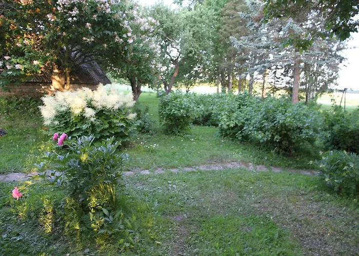 Hébergement de vacances Karu Laiusevälja